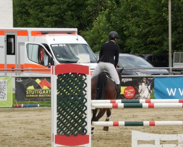 Reitturnier Winnenden 2024