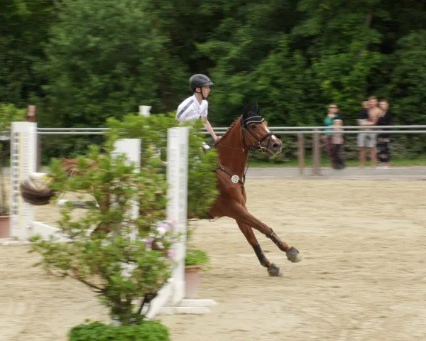 Reitturnier Winnenden 2024
