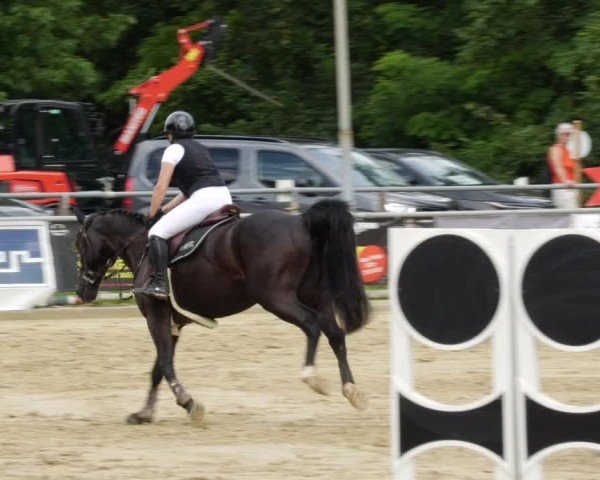 Reitturnier Winnenden 2024