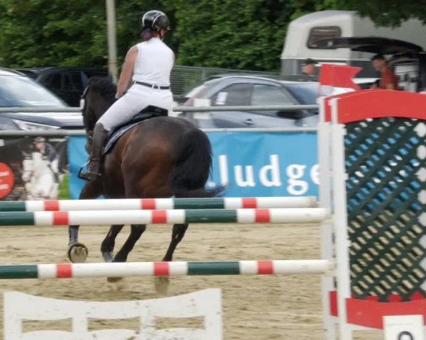 Reitturnier Winnenden 2024