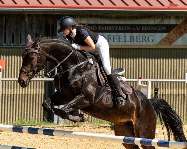 jumper Magna Racina (Württemberger, 2013, from Magnus Romeo)