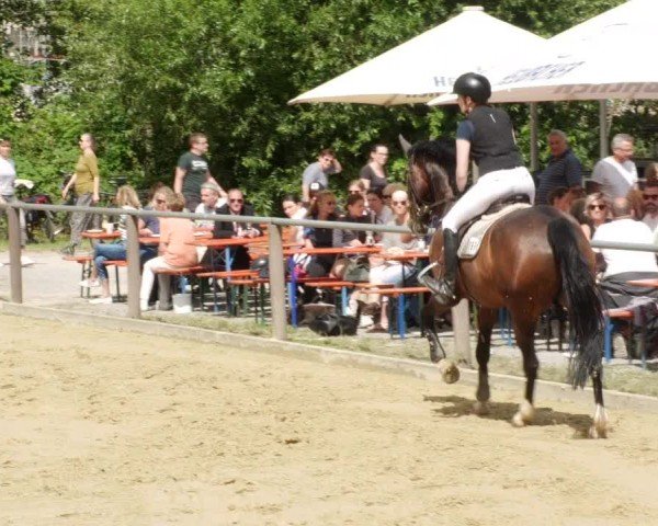 Reitturnier Winnenden 2024