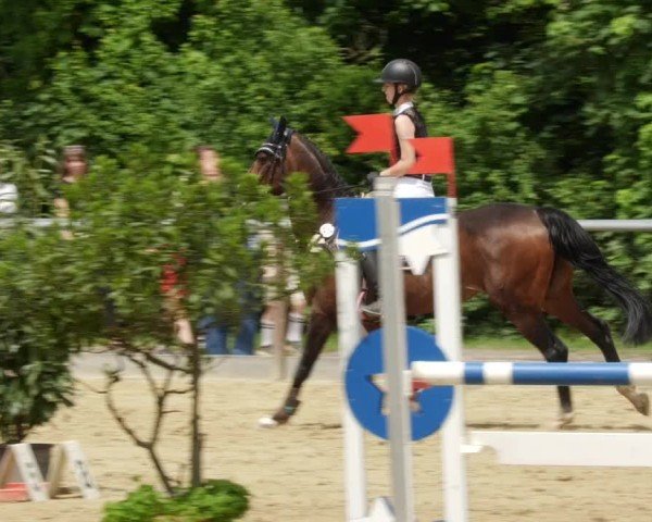 Reitturnier Winnenden 2024