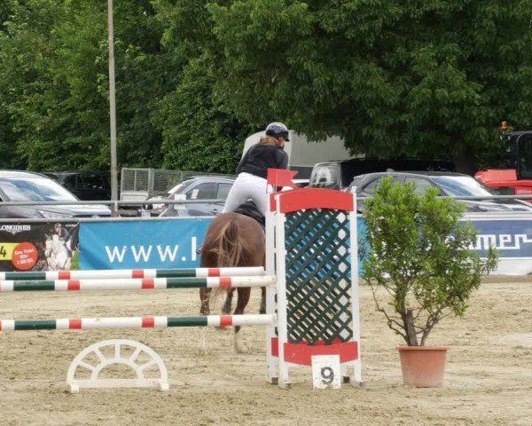 Reitturnier Winnenden 2024