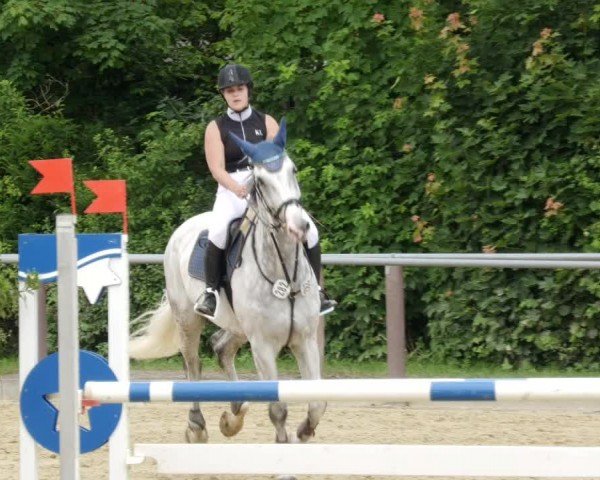 Reitturnier Winnenden 2024