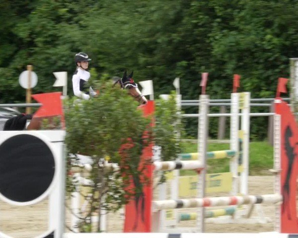 Reitturnier Winnenden 2024