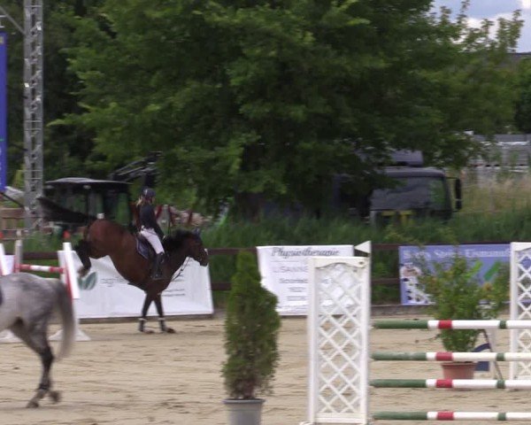 Reitturnier Schönfeld 2024