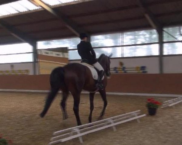 Datteln 2012