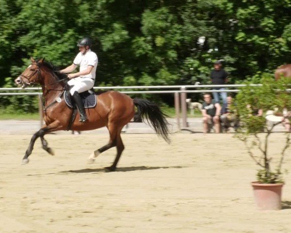 Reitturnier Winnenden 2024
