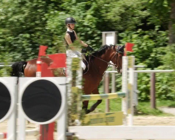 Reitturnier Winnenden 2024