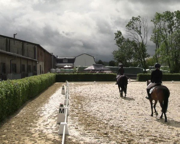 Reitturnier Wingerode 2024
