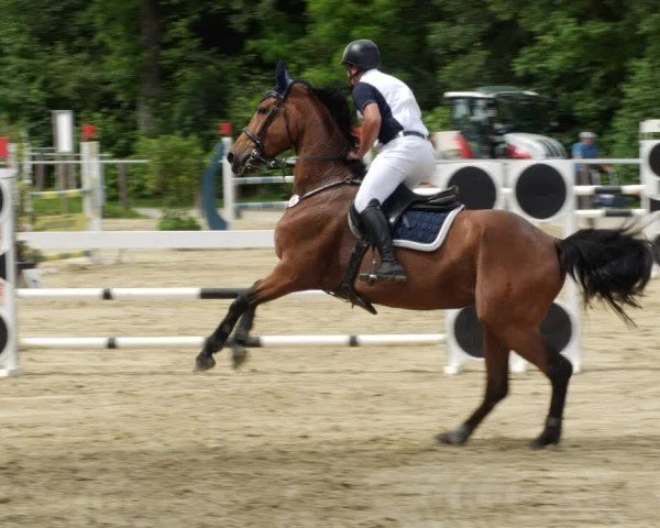 Reitturnier Winnenden 2024