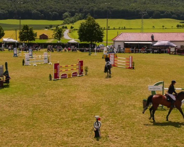 Reitturnier Wingerode 2024