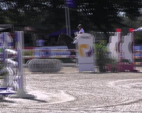 Datteln 2012