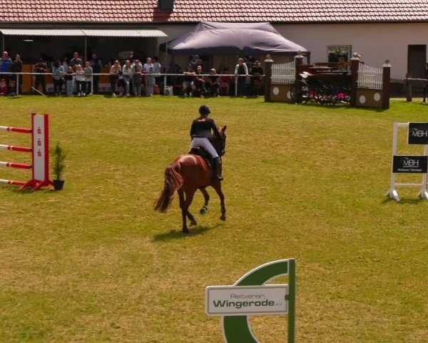 Reitturnier Wingerode 2024