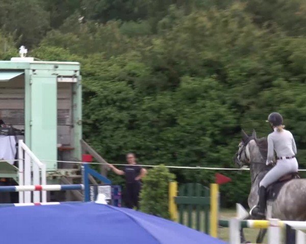 Reitturnier Bad Windsheim/Mfr. 2024
