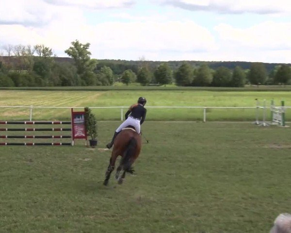 Reitturnier Bad Windsheim/Mfr. 2024