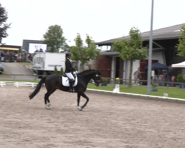 Reitturnier Fröndenberg 2024