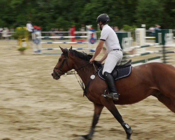 Reitturnier Winnenden 2024