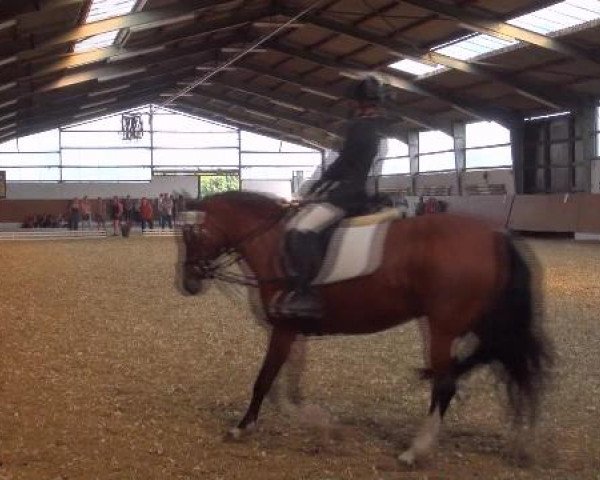 Datteln 2012