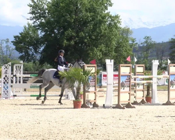 Reitturnier Hitzkirch 2024