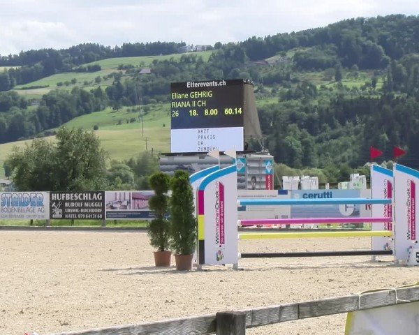 Reitturnier Hitzkirch 2024