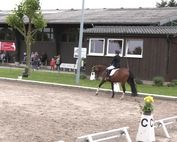 Reitturnier Fröndenberg 2024