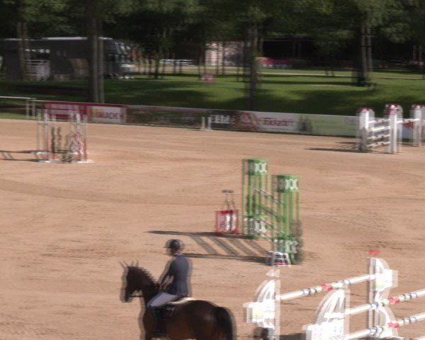 Reitturnier Stadl-Paura 2024