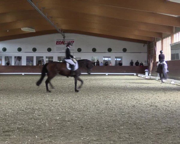 Reitturnier Coesfeld/Lette 2024