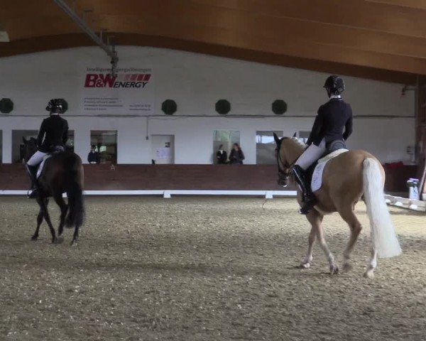 Reitturnier Coesfeld/Lette 2024