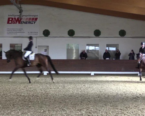 Reitturnier Coesfeld/Lette 2024