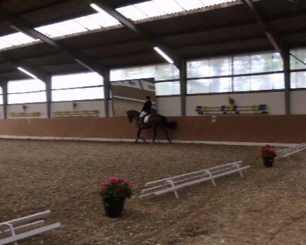 Datteln 2012