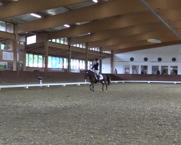 Reitturnier Coesfeld/Lette 2024