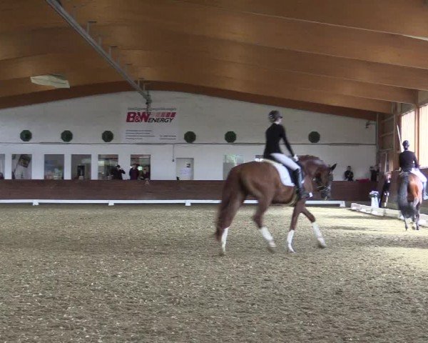 Reitturnier Coesfeld/Lette 2024