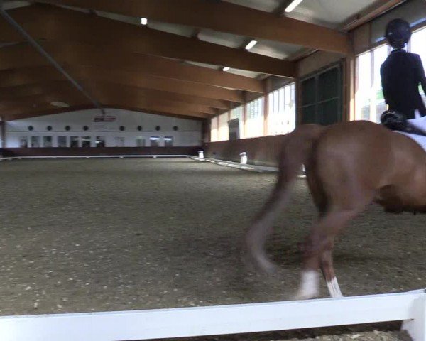 Reitturnier Coesfeld/Lette 2024