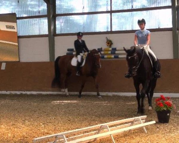 Datteln 2012