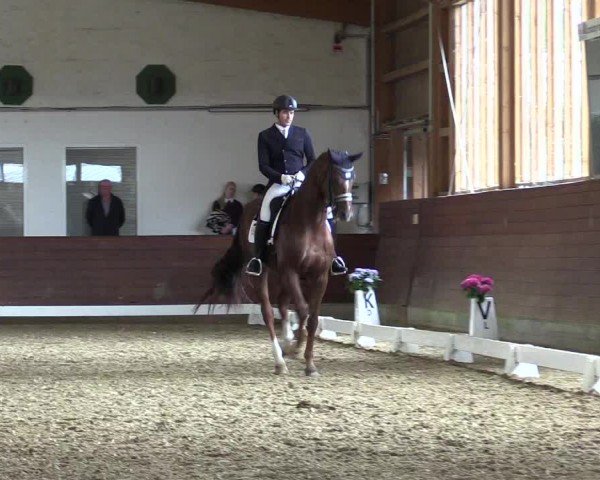 Reitturnier Coesfeld/Lette 2024