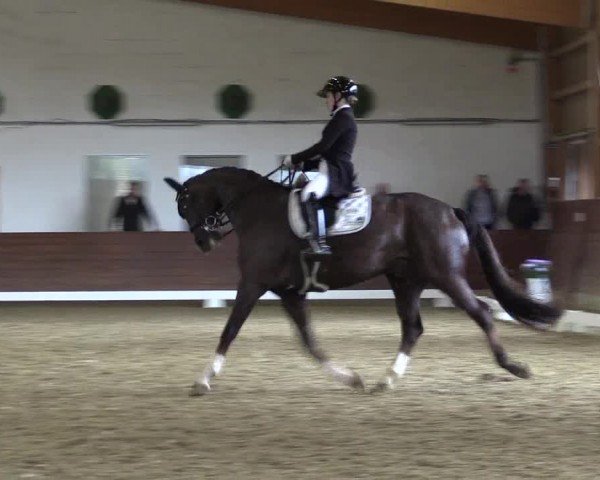 Reitturnier Coesfeld/Lette 2024