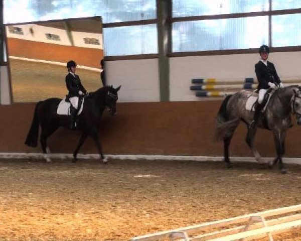 Datteln 2012
