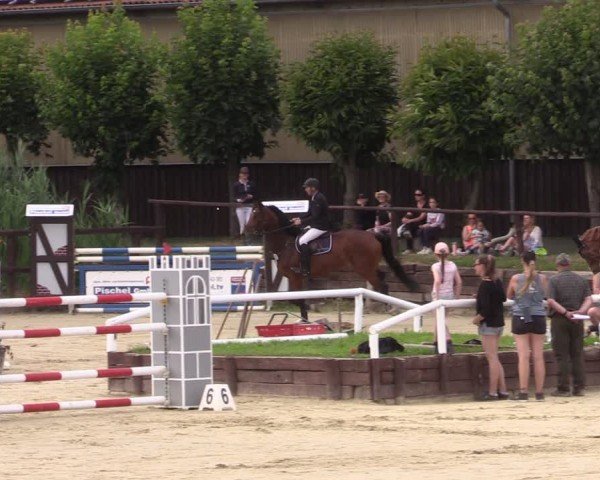 Reitturnier Schönfeld 2024
