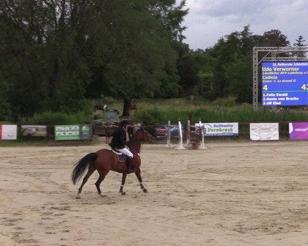 Reitturnier Schönfeld 2024