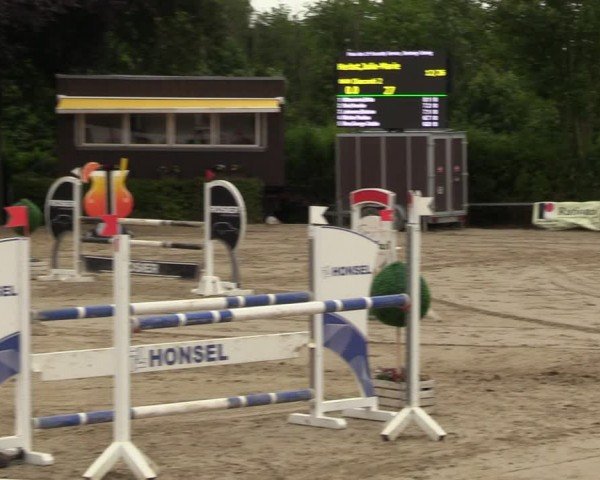 Reitturnier Fröndenberg 2024