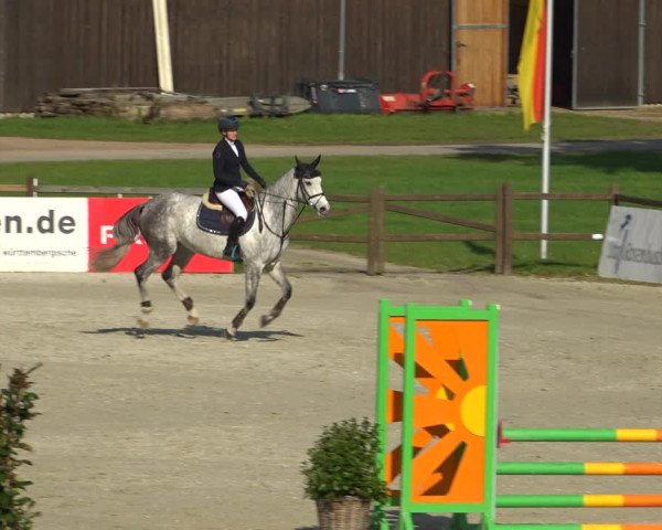 Reitturnier Westergellersen 2021