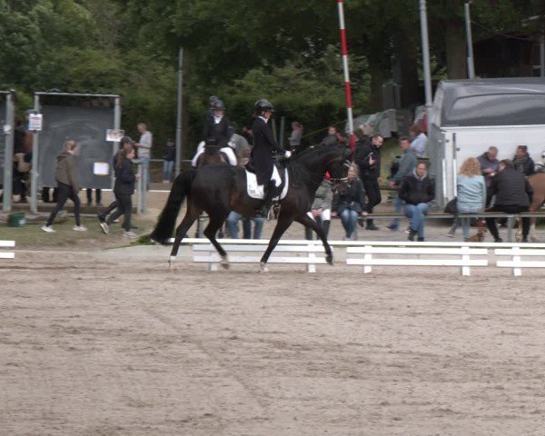 Reitturnier Fröndenberg 2024