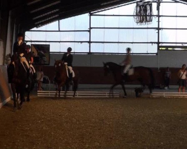 Datteln 2012
