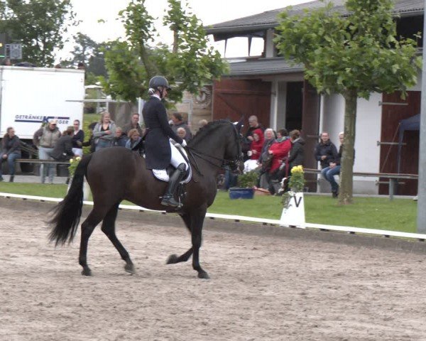 Reitturnier Fröndenberg 2024
