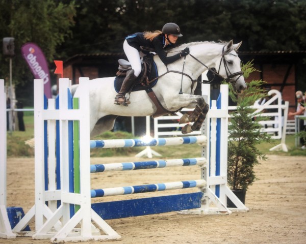 jumper Call Me Baronesse (Oldenburg, 2009, from Carlos DZ)