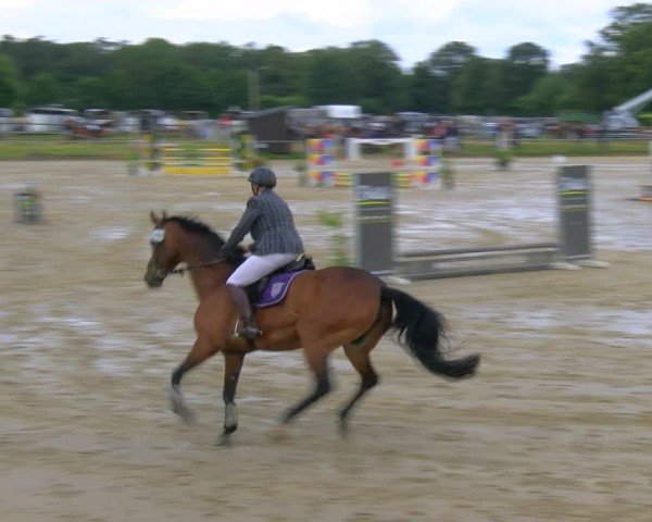 Reitturnier Coesfeld/Lette 2024