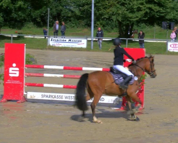 Reitturnier Coesfeld/Lette 2024