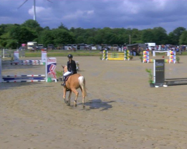 Reitturnier Coesfeld/Lette 2024
